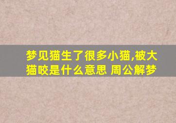 梦见猫生了很多小猫,被大猫咬是什么意思 周公解梦